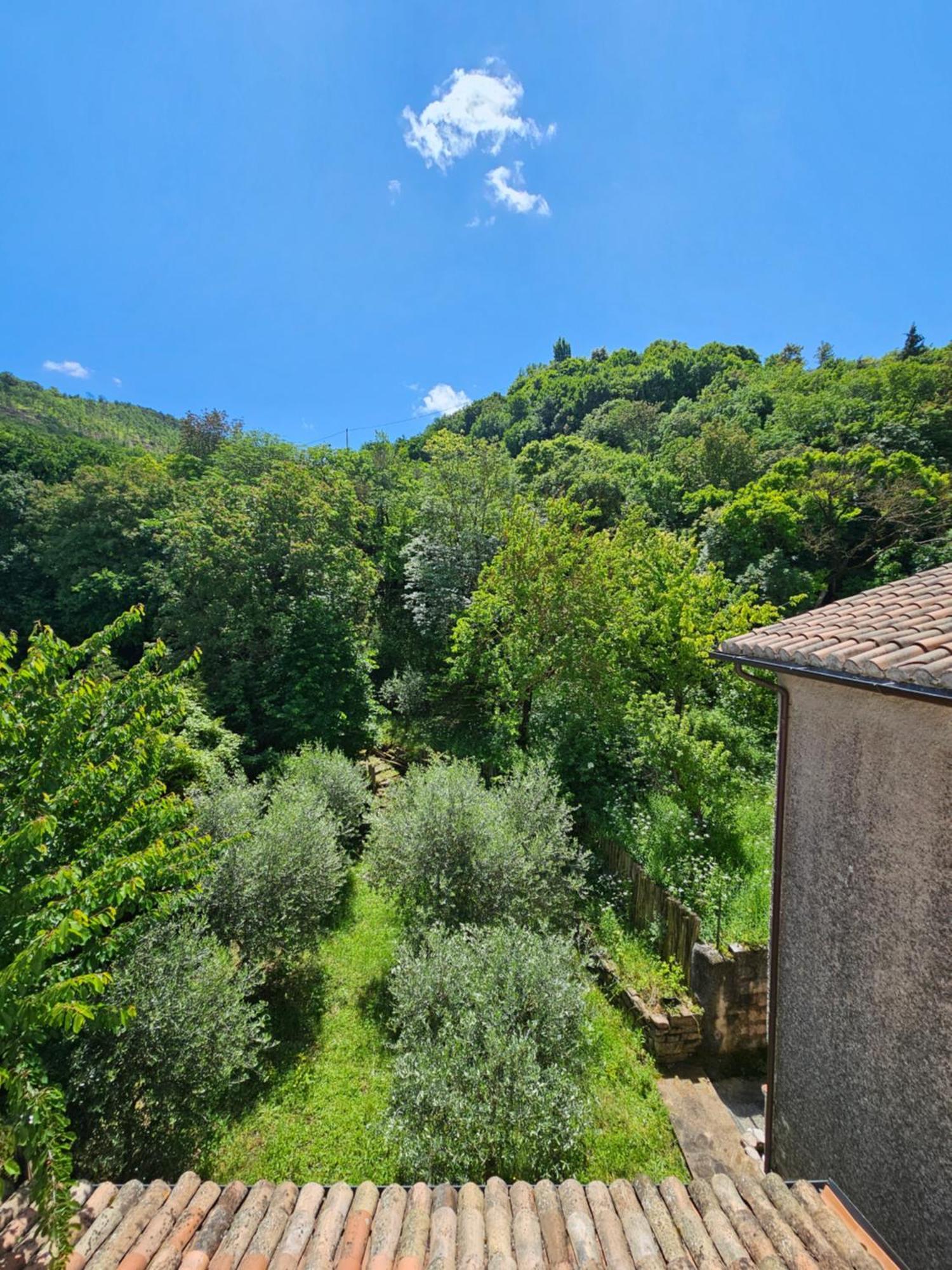 La Rosa Dei Venti - Country House Fossato di Vico Exterior foto